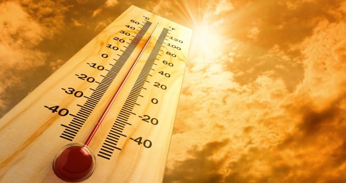 Alexandria Weather Forecast